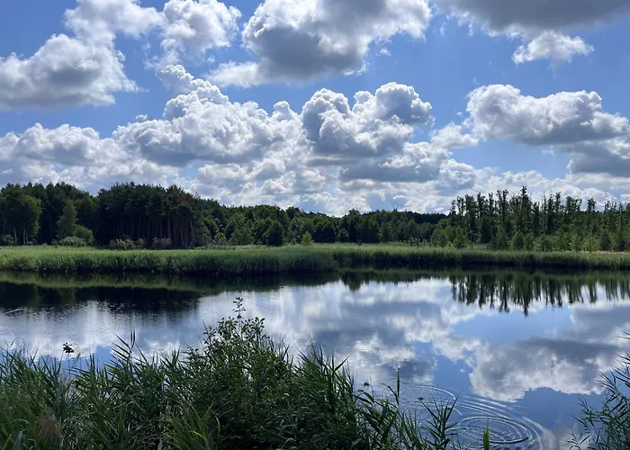 Villa Scandinavia Penati